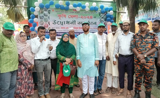 image-here